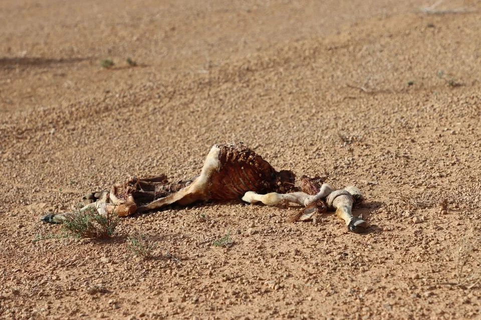 Impact of more frequent severe droughts in Somalia Impact of more frequent severe droughts in Somalia