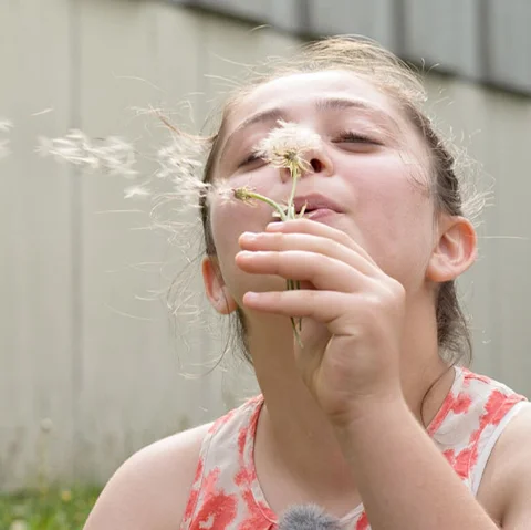 meisje blaast een paardenbloem buiten in d zon