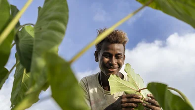 CH1819010-Junior-16-inspecting-taro-plants-he’s-growing-in-a-community-garden-in-Malaita-Province-the-Solomon-Islands