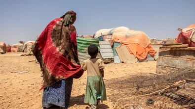 010c406e-7477-4f54-83d5-4e49bf0d4198