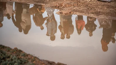 20669fda-3405-4234-8539-a9a30a4dcf2a