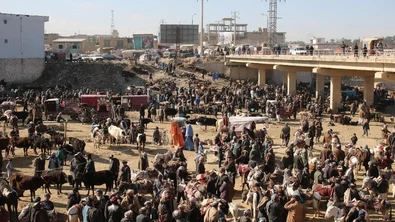 3cffb91f-0e43-4aa8-a4d6-26787f7e0d3d