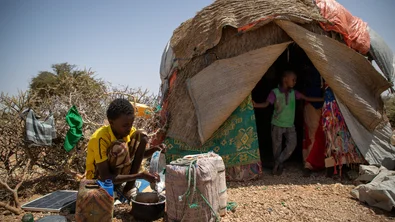 5a5c22a8-a728-41e4-8d33-7f324d7dfa1e