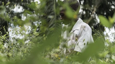 81f7b72e-62a3-4f96-a41e-6dee23500bf0