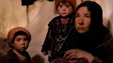 ad12f387-9ecb-4e92-8886-9142643662d2