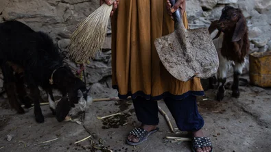 c648edfb-8892-4f8b-85cb-b53e501bfb86