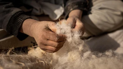 e2720d7f-3c63-4126-987d-43a28aaea0bd