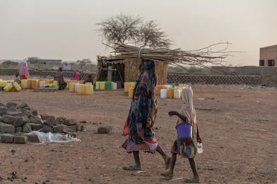 2637a3b3-2f30-49d9-a533-bcfcd760c40e