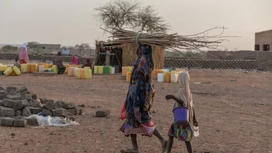 2637a3b3-2f30-49d9-a533-bcfcd760c40e