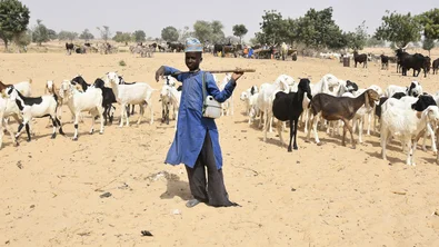 Honger in Niger door klimaatveranderingen, conflict en voedselprijzen