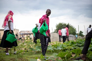 Kinderen geven water in moestuin